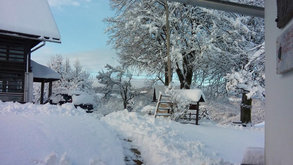 Tourist Farm Ljubica Villa Poljane nad Škofjo Loko Dış mekan fotoğraf
