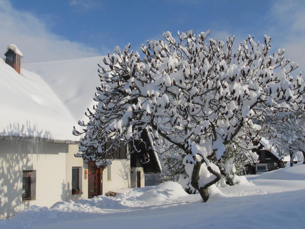 Tourist Farm Ljubica Villa Poljane nad Škofjo Loko Dış mekan fotoğraf
