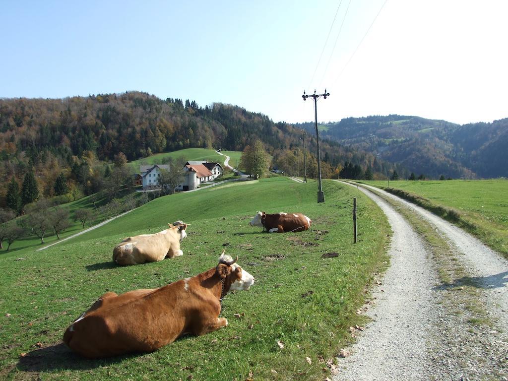Tourist Farm Ljubica Villa Poljane nad Škofjo Loko Dış mekan fotoğraf
