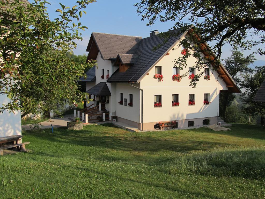 Tourist Farm Ljubica Villa Poljane nad Škofjo Loko Dış mekan fotoğraf